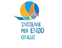 logo insieme per enzo